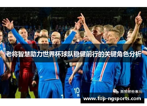 老将智慧助力世界杯球队稳健前行的关键角色分析