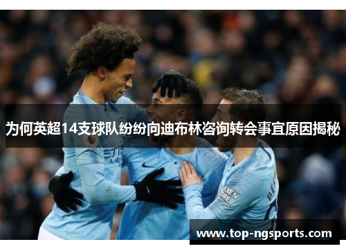 为何英超14支球队纷纷向迪布林咨询转会事宜原因揭秘