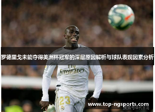 罗德里戈未能夺得美洲杯冠军的深层原因解析与球队表现因素分析