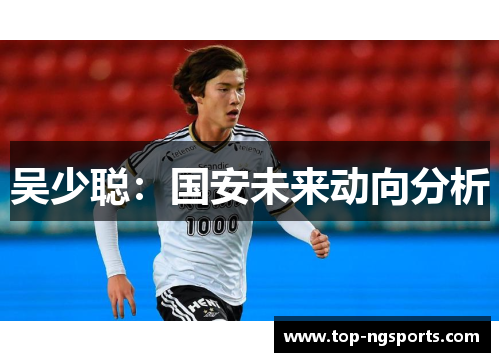吴少聪：国安未来动向分析
