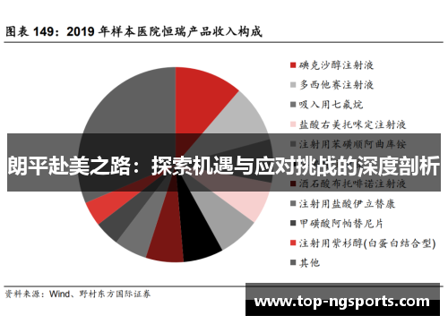 朗平赴美之路：探索机遇与应对挑战的深度剖析